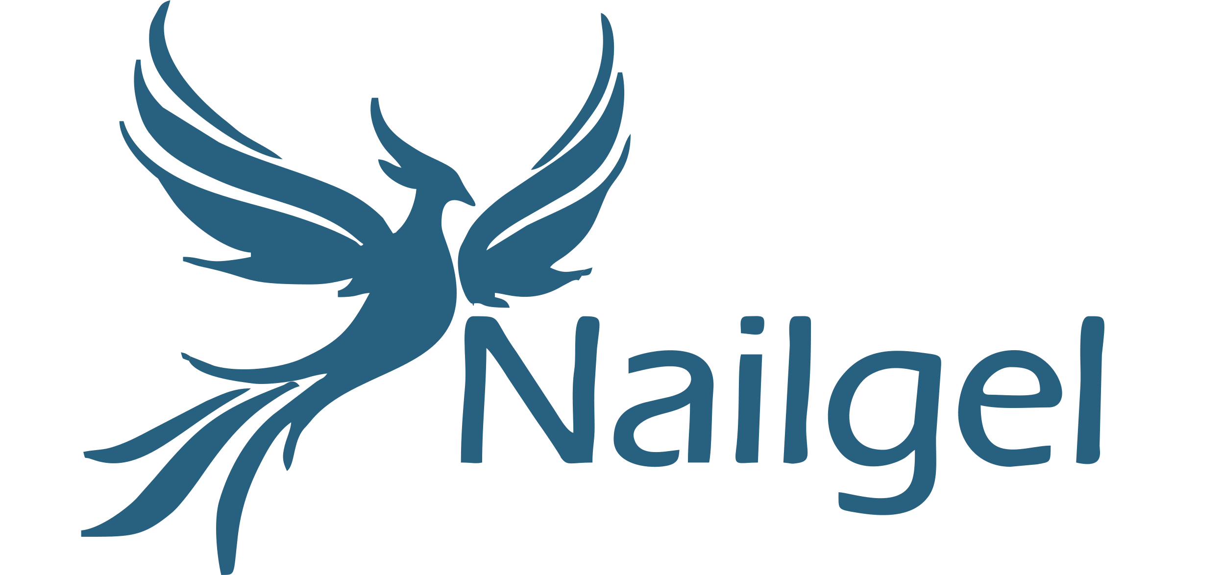 Nailgel